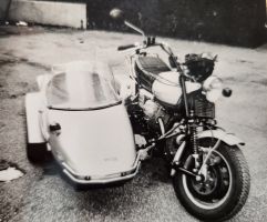 1980 Hagen